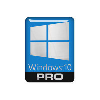 Windows Pro 10 32-bit/64-bit Russian ESD